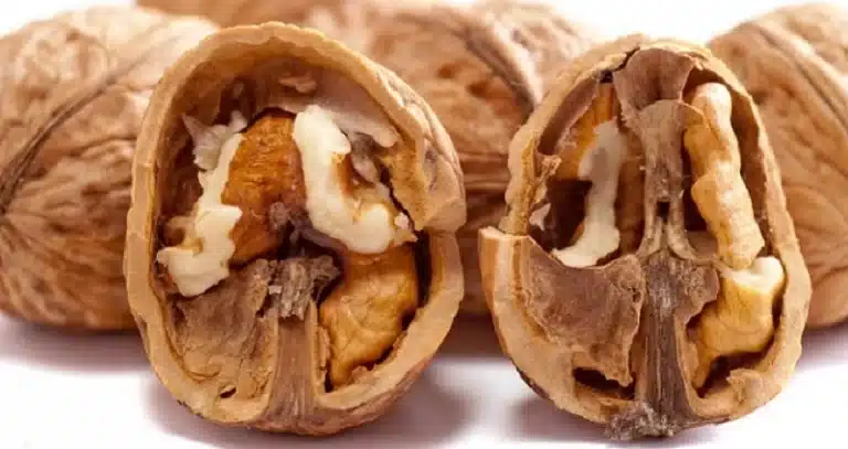 szúnyogháló ablakra
